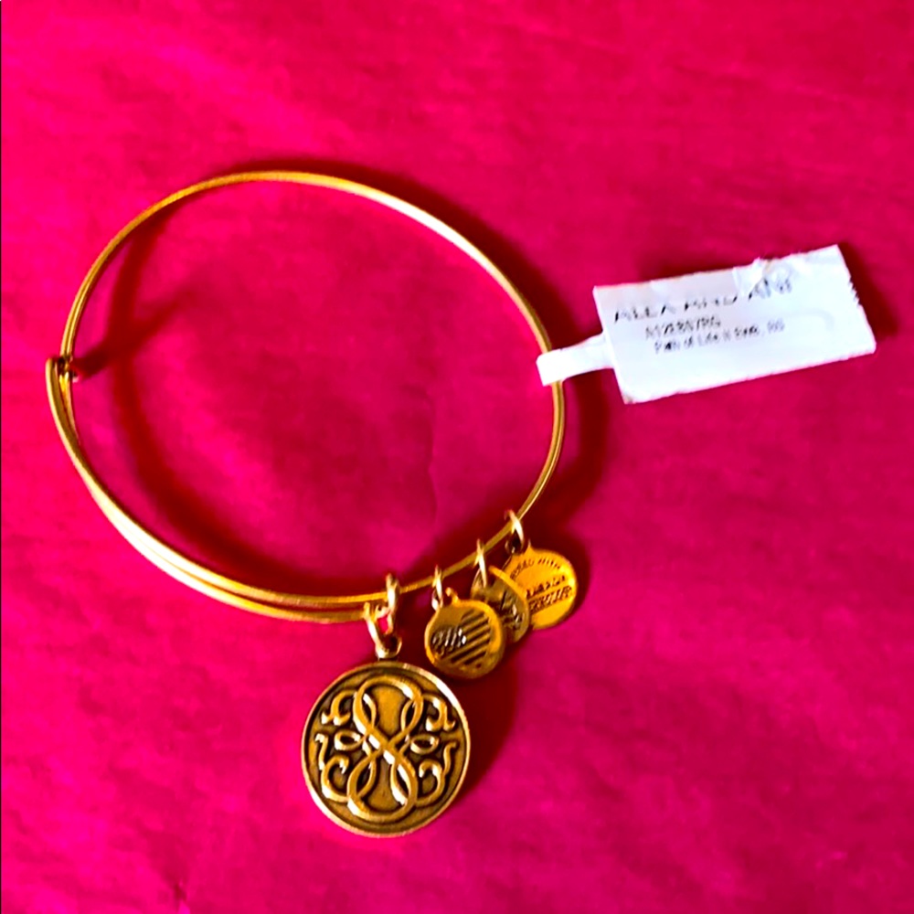 Alex and Ani Path of Life Bracelet